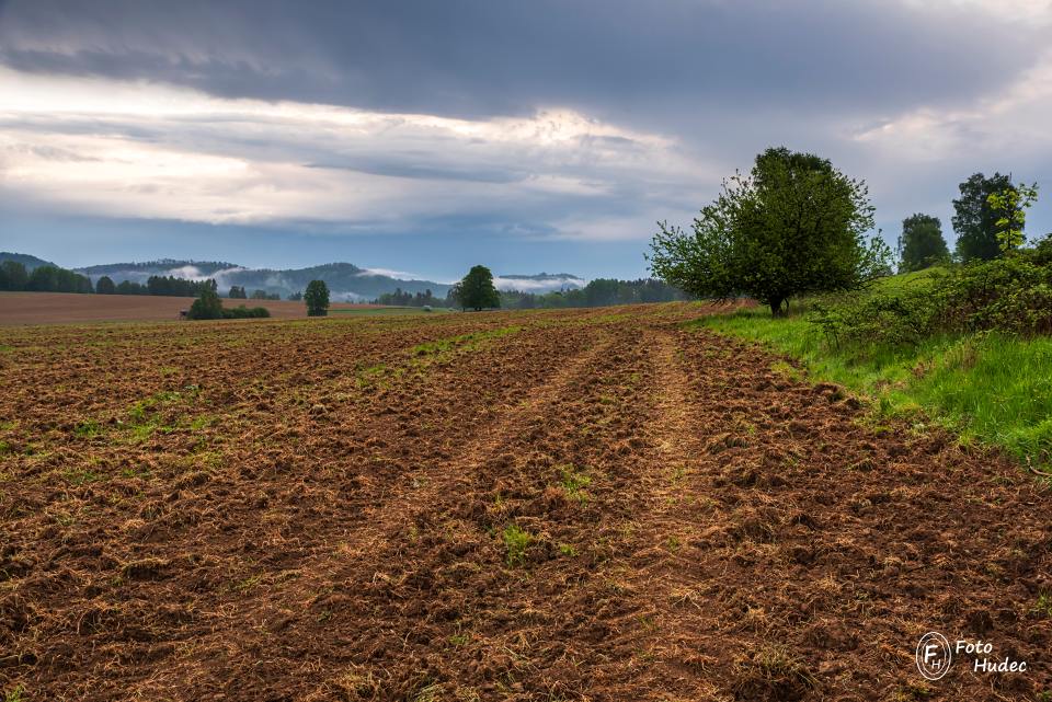 Cesta polem po ranním dešti