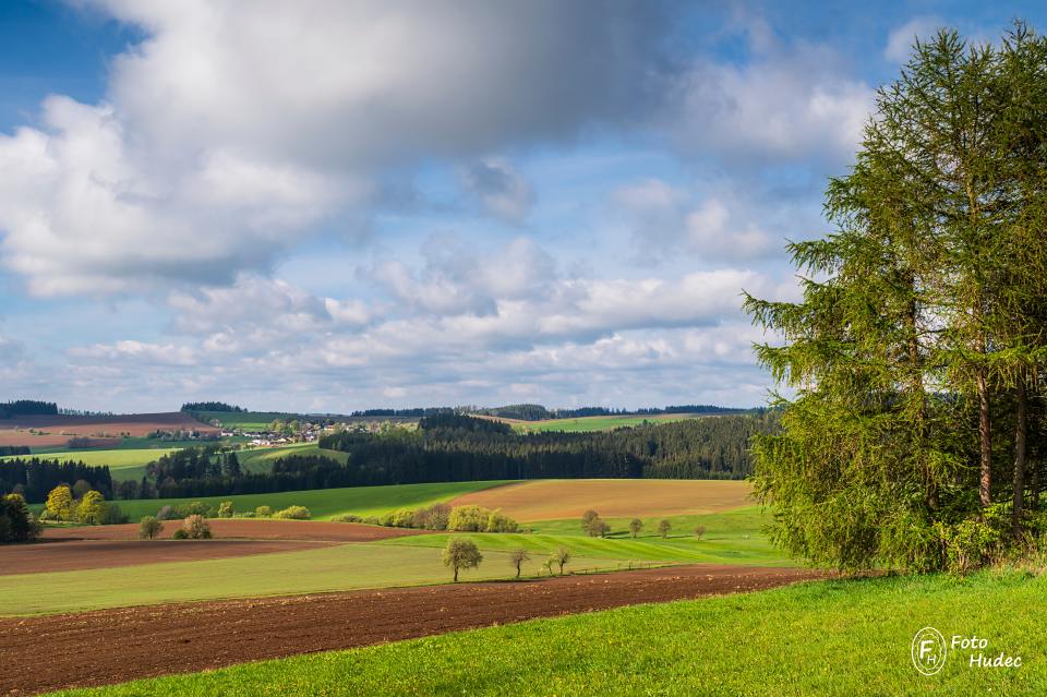 Jarní krajina k Vojtěchovu