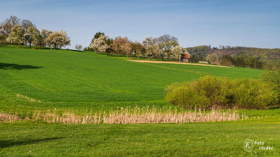 Jarní krajina s domečkem a rákosím