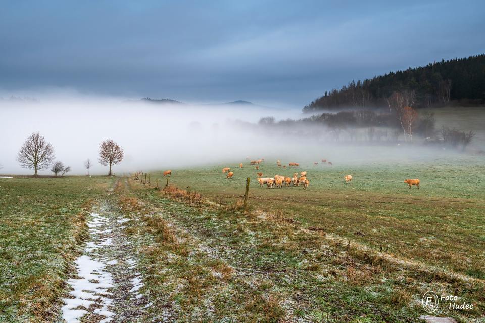 Kolem pastviny s ranní mlhou