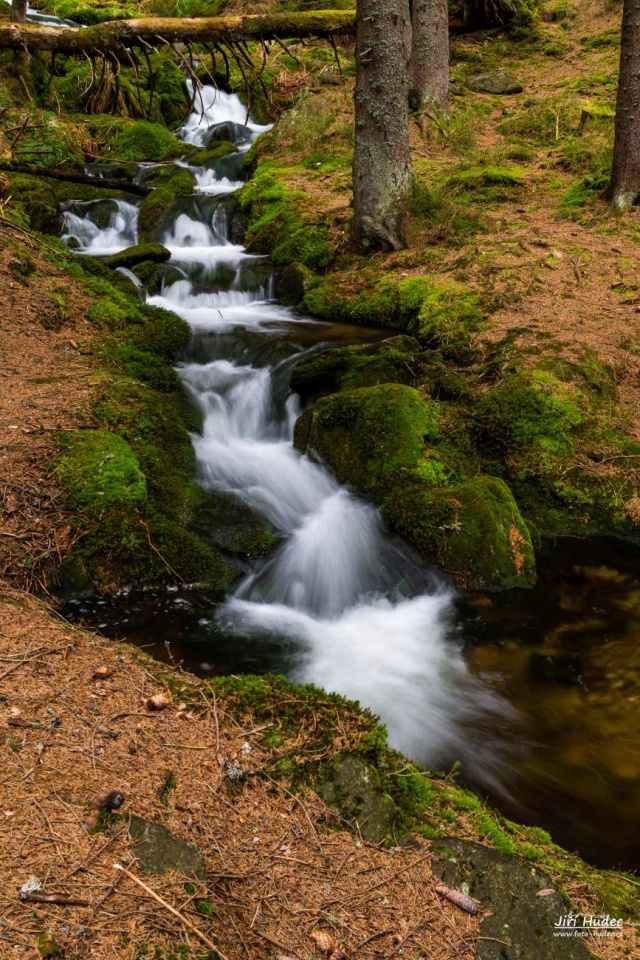 Krkonoše - Liščí potok 3