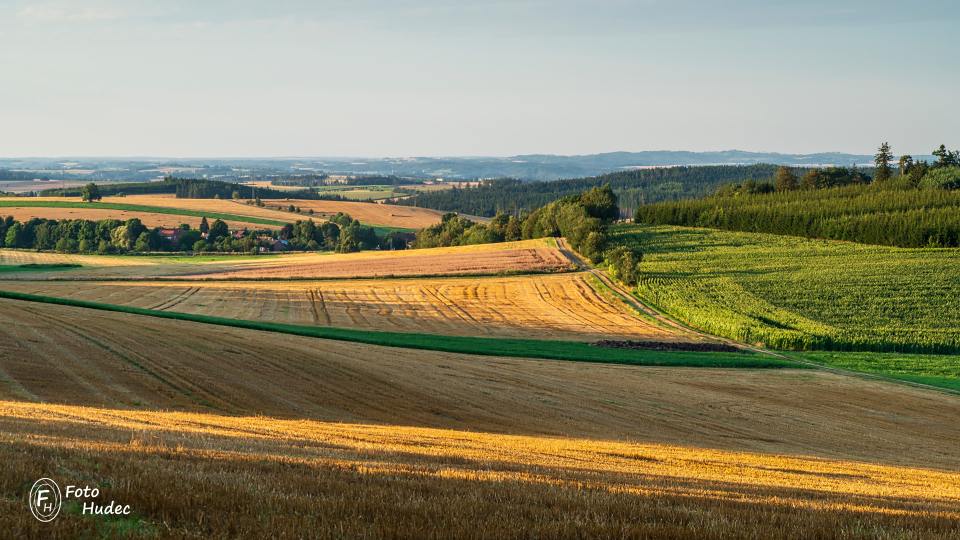 Letní ráno u Rovného