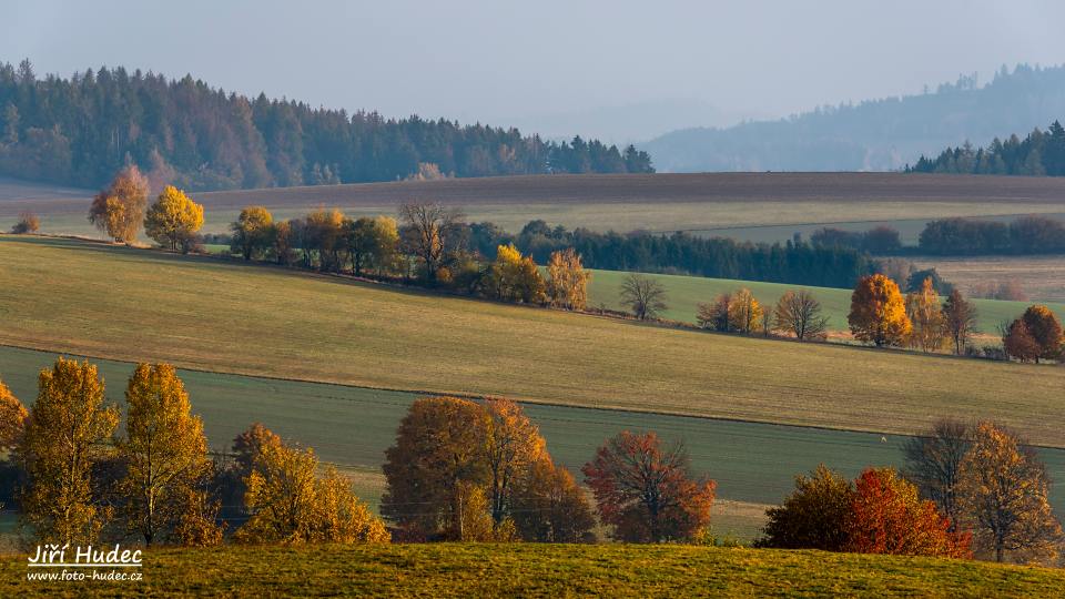 Mlhavé podzimní ráno u Velkých Janovic 4