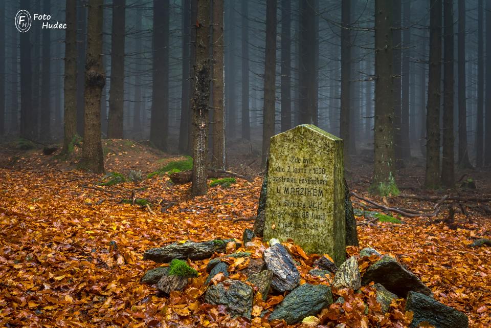 Památník zastřelení posledního vlka na Vysočině 2