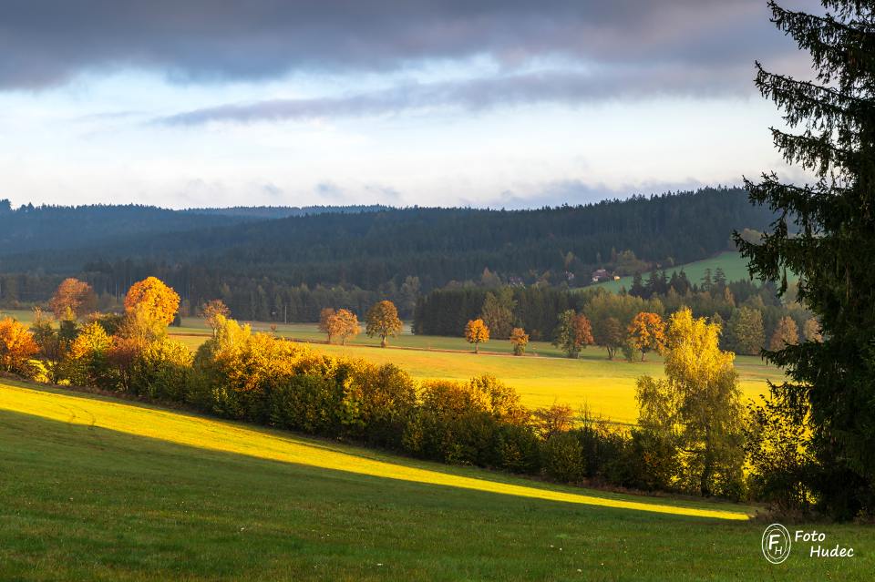 Podzimní krajina pod Zuberským rybníkem