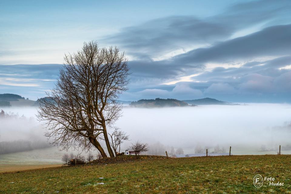 Strom s lavičkou nad mlhavým údolím