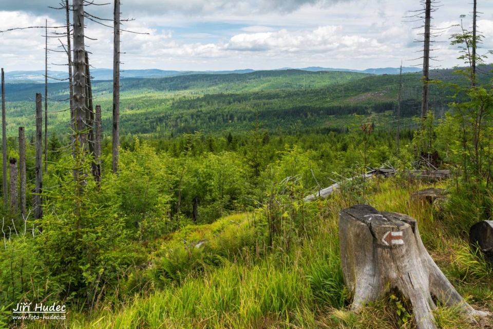 Šumava - Po červené