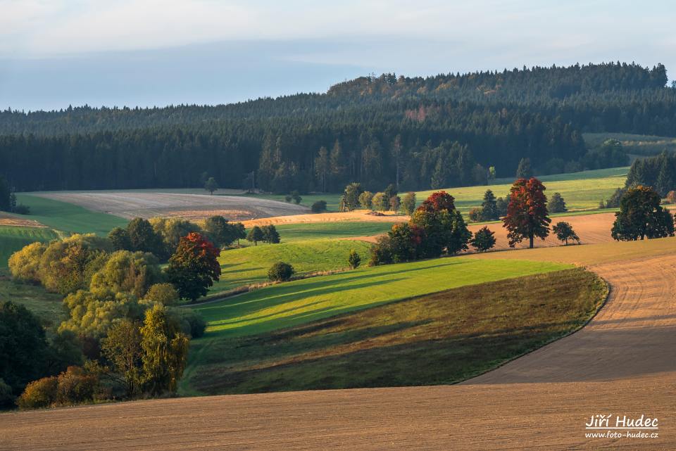 Údolí Líseckého potoka ve večerním světle