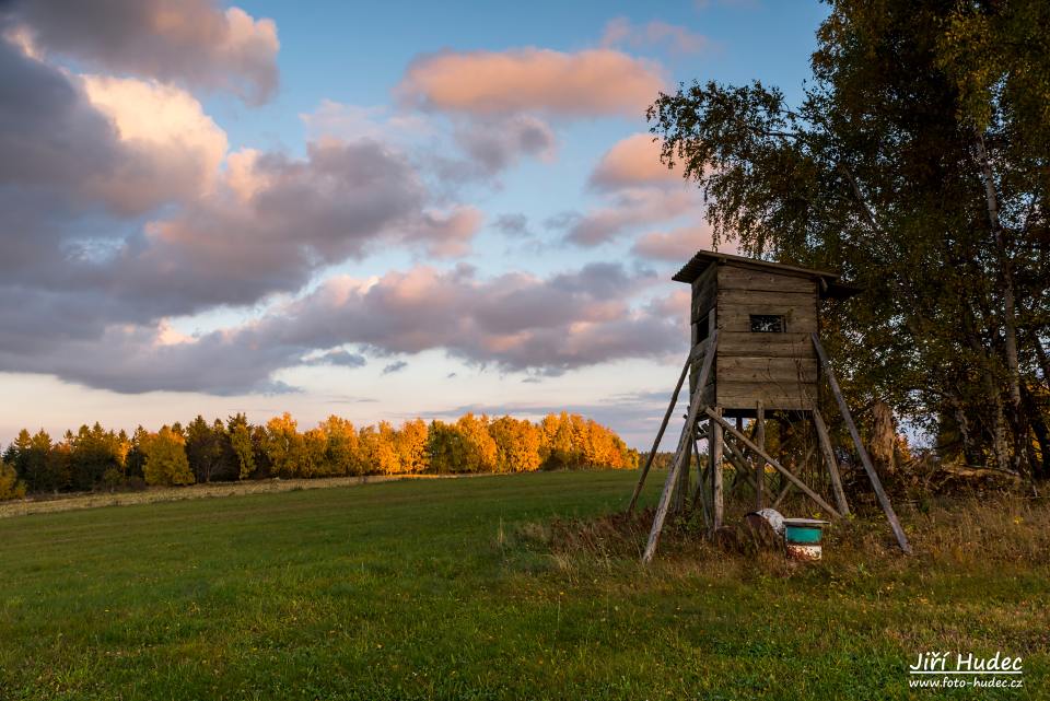 Večerní posed