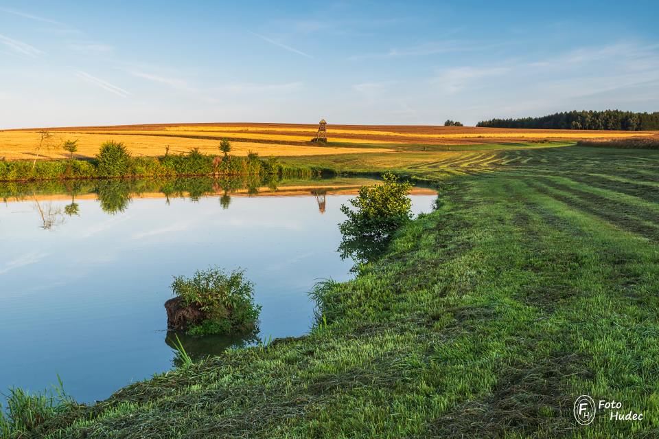 Vojetínský rybník