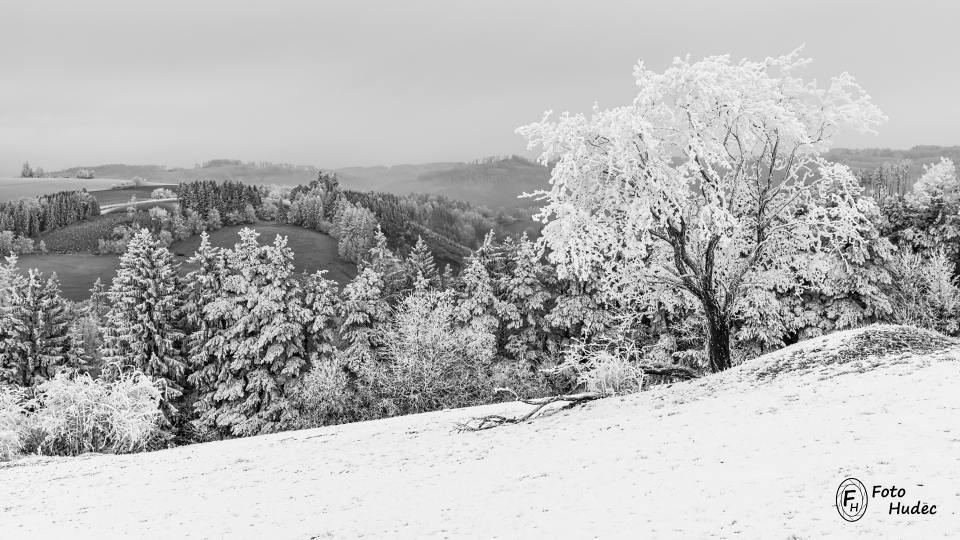 Zmrzlá třešeň nad údolím